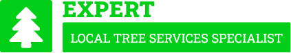Sutherland Shire Tree Lopping - Tree Removal Sutherland Shire